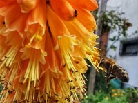 Natur 0007