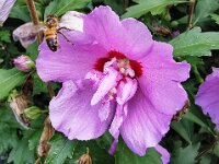 Natur 0008