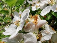 Natur 0014