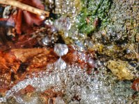 Natur 0017