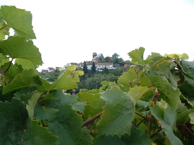 Leininger Land