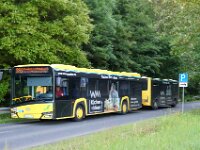 Stroh Bus 0027