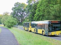 Stroh Bus 0031