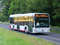 Stroh Bus 0034