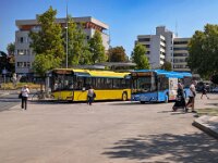 Stroh Bus 0047
