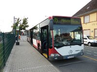 rnv Bus 1331 08/2015, Seckenheim 