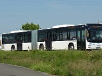 rnv Bus 1333 08/2015, Seckenheim, Foto: J. Niemeyer