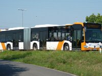 rnv Bus 1334 08/2015, Seckenheim, Foto: J. Niemeyer