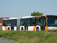 rnv Bus 1336 08/2015, Seckenheim, Foto: J. Niemeyer