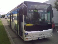 V-Bus Busse 0037