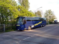 Der Zwingenberger 0008