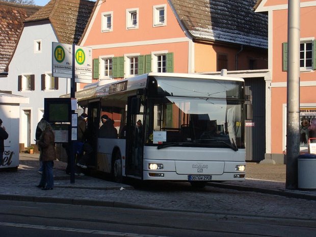 Müller Biblis