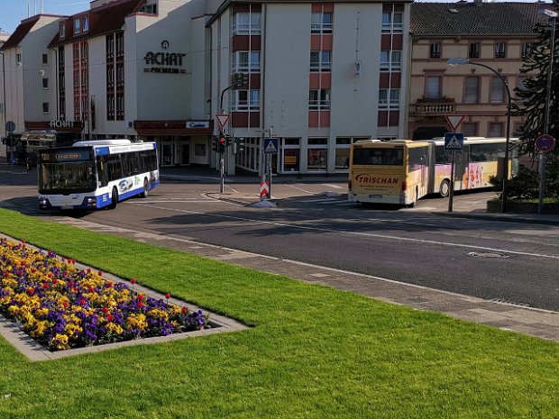 Palatina Bus