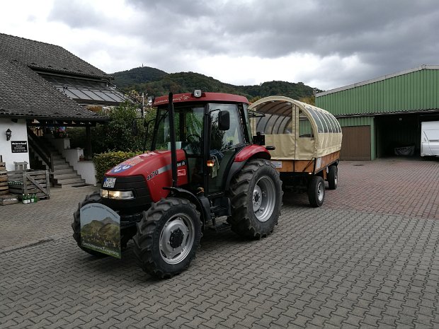 Planwagen Zwingenberg