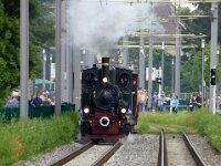 Feuriger Elias in MA 2016 0021 06/2016, Feudenheim