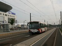 Maimarkt 2010 0133