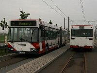Maimarkt 2010 0140