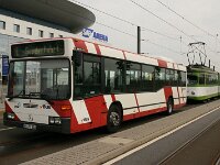 Maimarkt 2010 0146