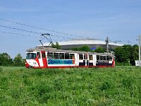 Maimarkt 2011 0025